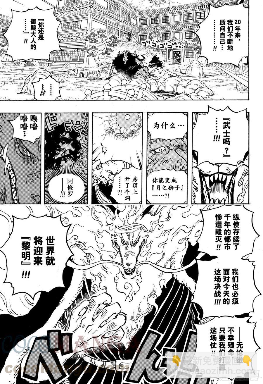 🍹航海王 第1023话 一模一样 第13页