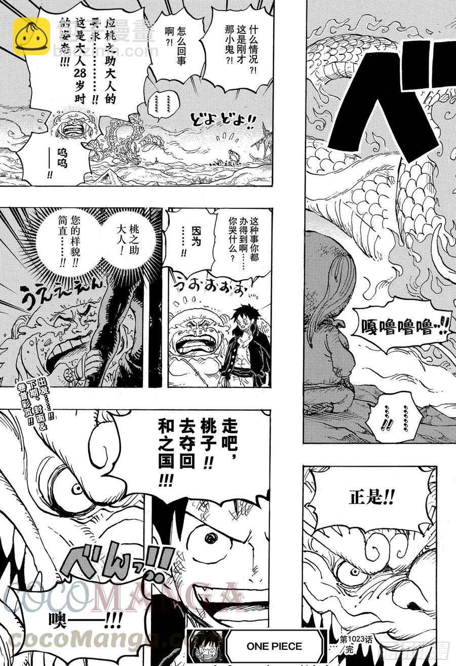🍹航海王 第1023话 一模一样 第17页