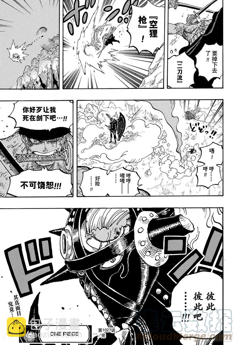 🍹航海王 第1027话 超乎想像的危机 第17页