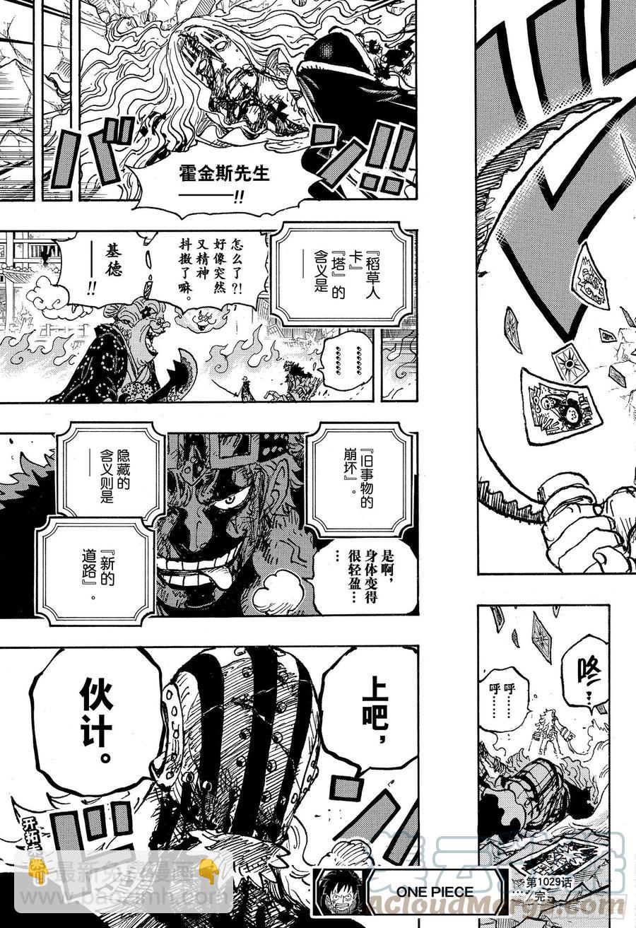 🍹航海王 第1029话 塔 第17页
