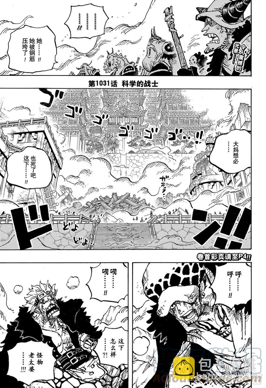 🍹航海王 第1031话 科学的战士 第3页