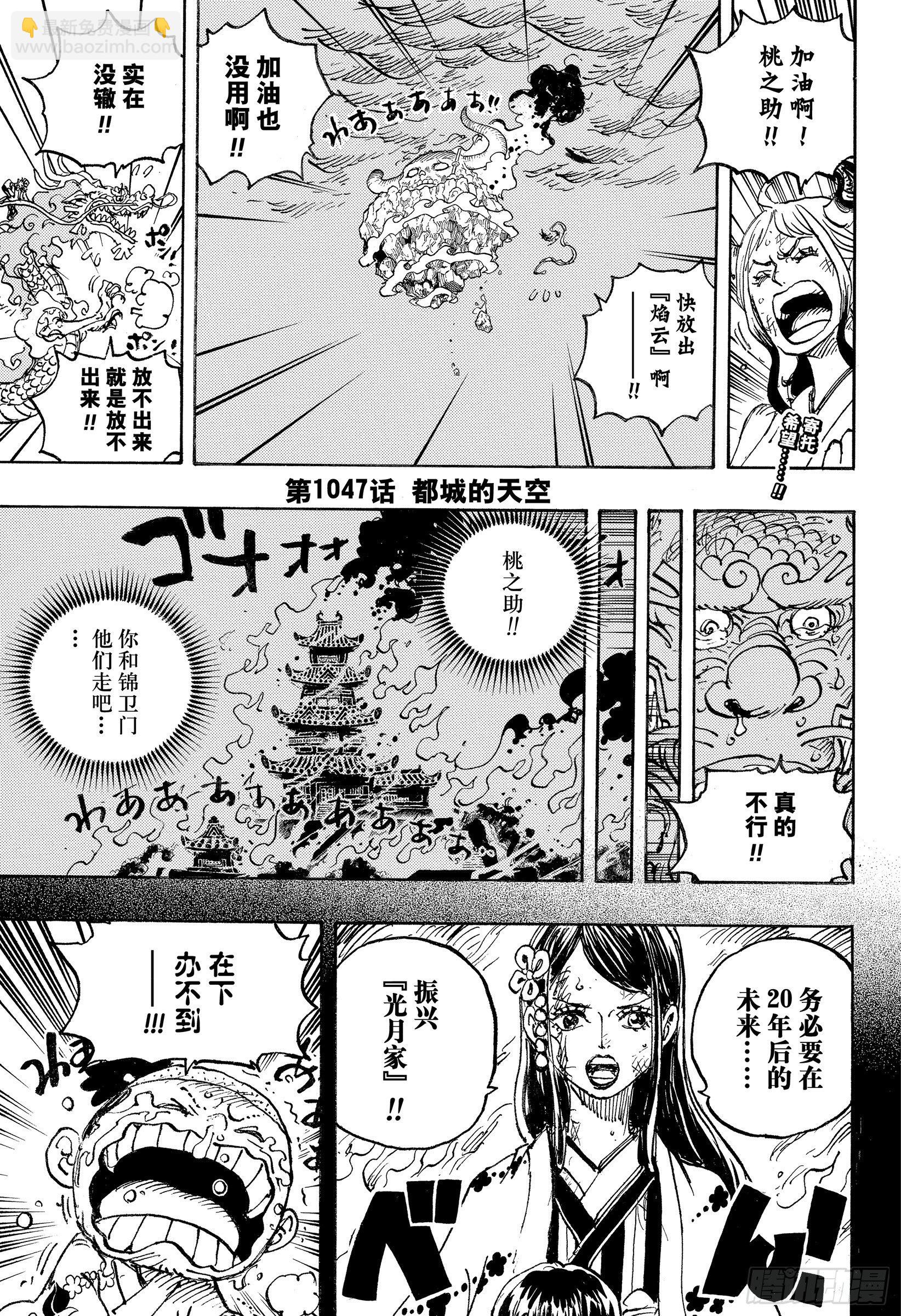 🍹航海王 第1047话 都城的天空 第3页