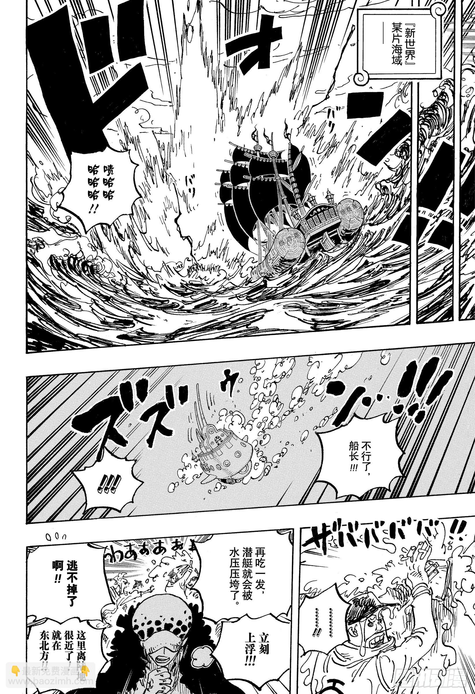 🍹航海王 第1063话 唯一的家人 第10页