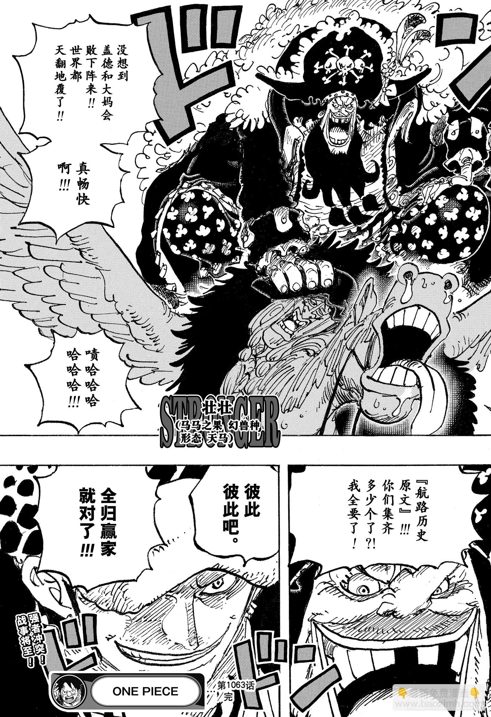 🍹航海王 第1063话 唯一的家人 第15页