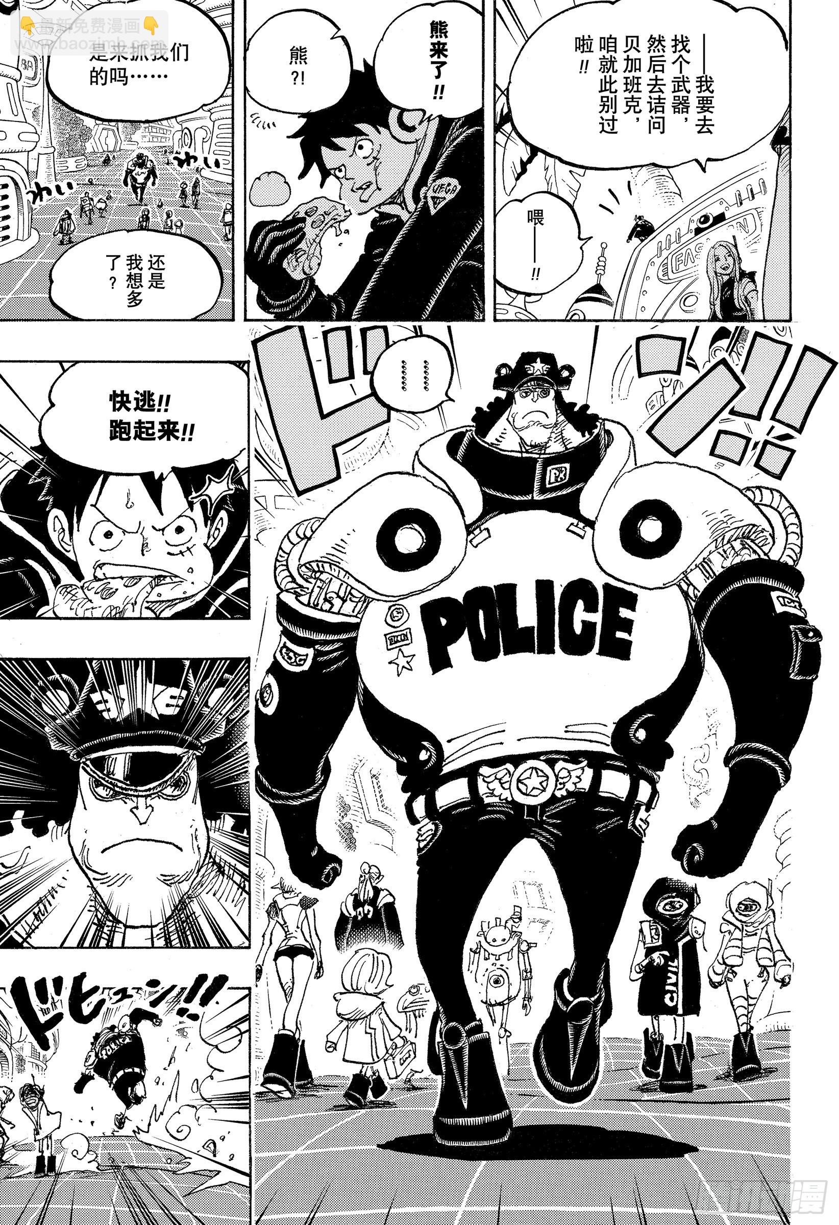 🍹航海王 第1063话 唯一的家人 第5页
