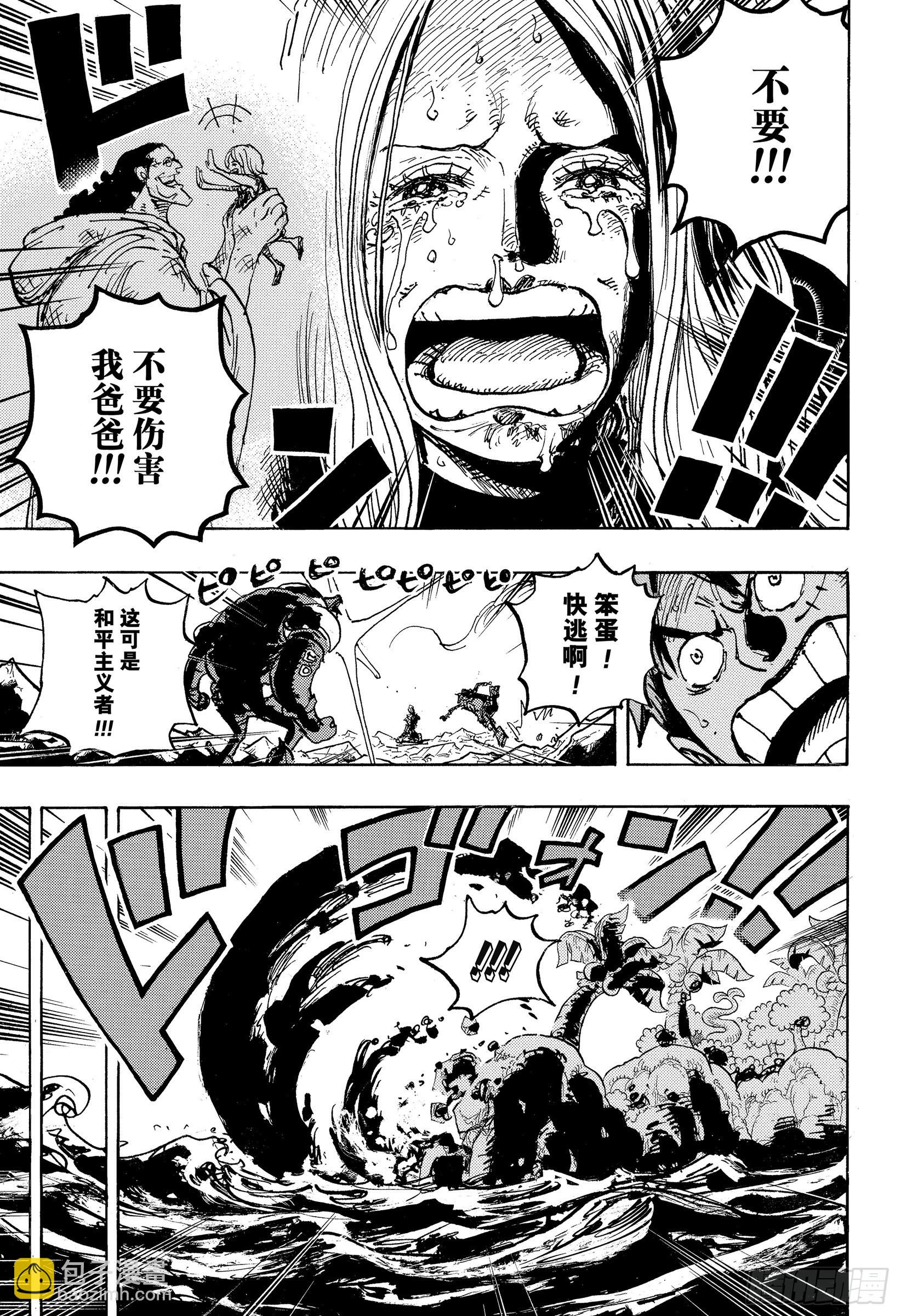 🍹航海王 第1063话 唯一的家人 第9页