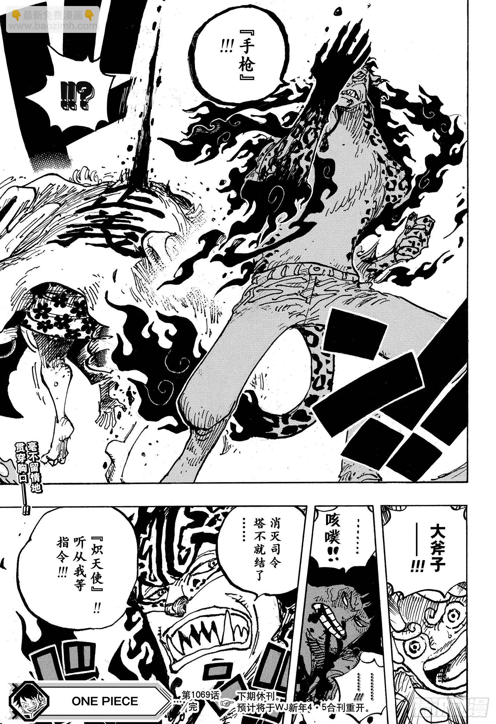 🍹航海王 第1069话 世间万物，皆 第17页