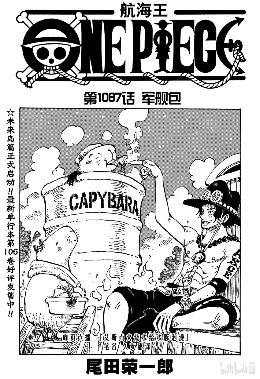 🍹航海王 1087 军舰包 第1页