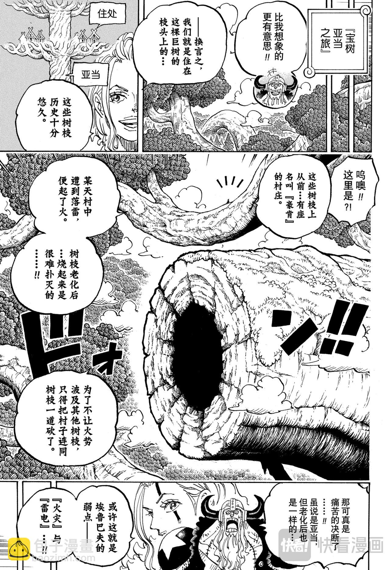 🍹航海王 第1141话 年长的女人 第3页