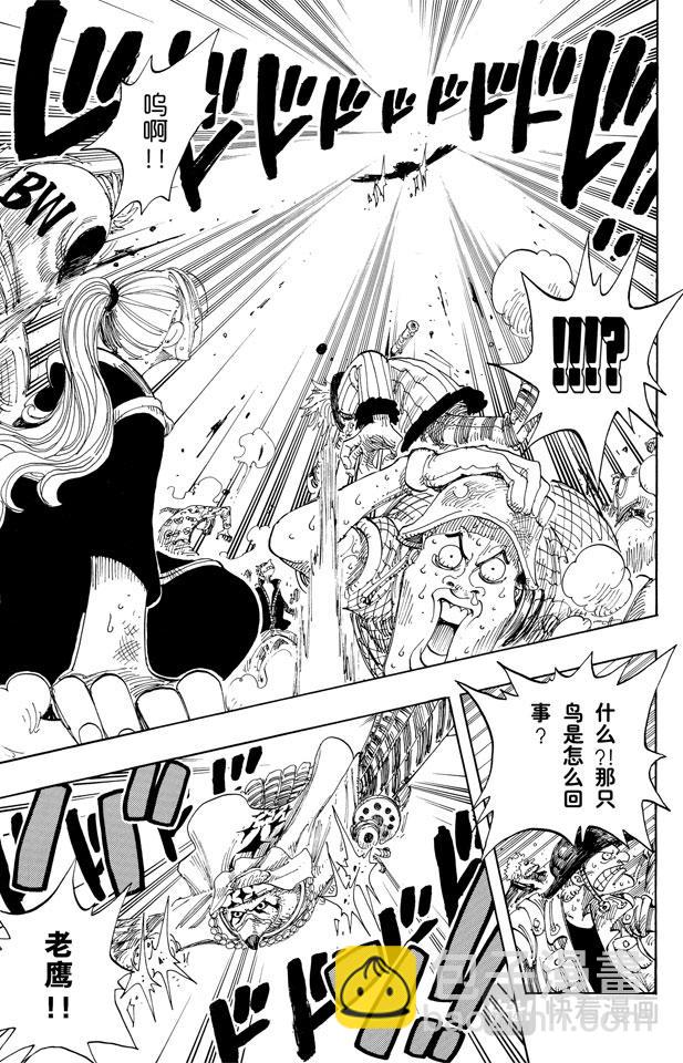 🍹航海王 第169话 王国最强的战士 第15页
