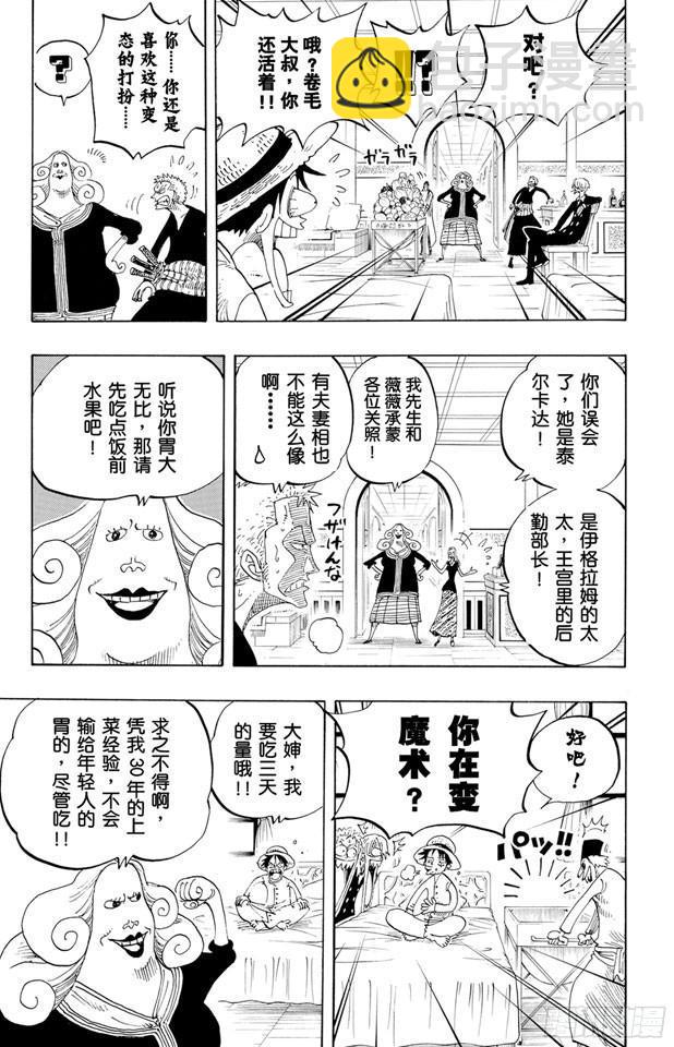 🍹航海王 第213话 VIP 第12页