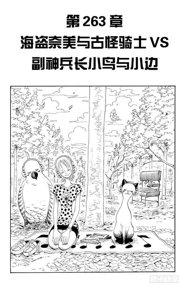 🍹航海王 第263话 海盗奈美与古怪骑士 第1页