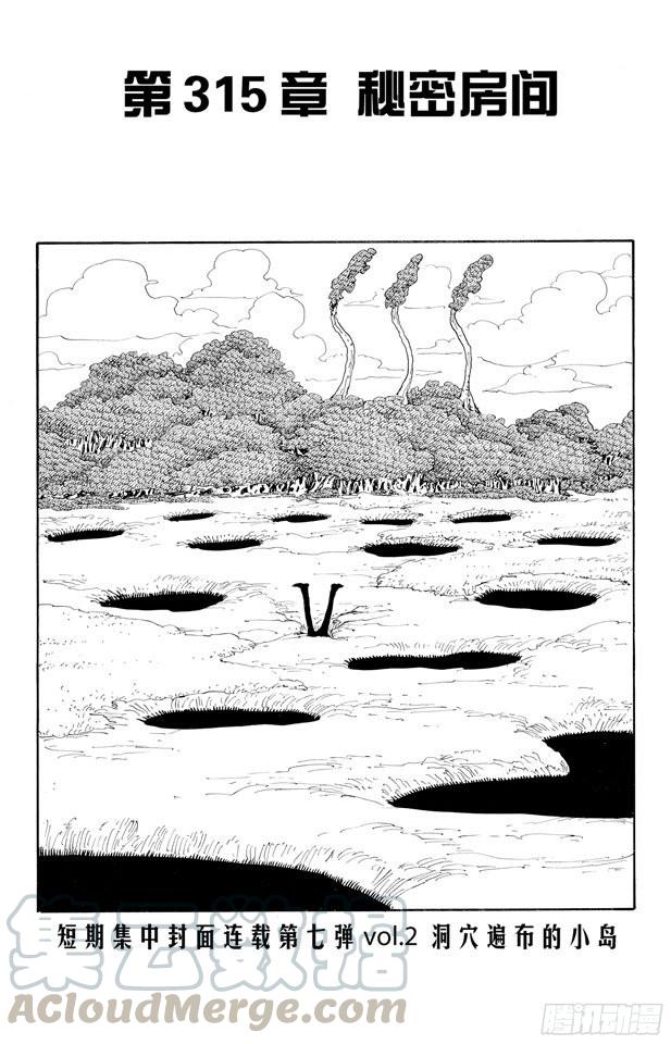 🍹航海王 第315话 秘密房间 第1页