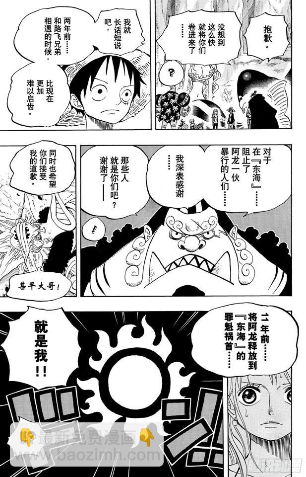 🍹航海王 第619话 在海之森 第17页