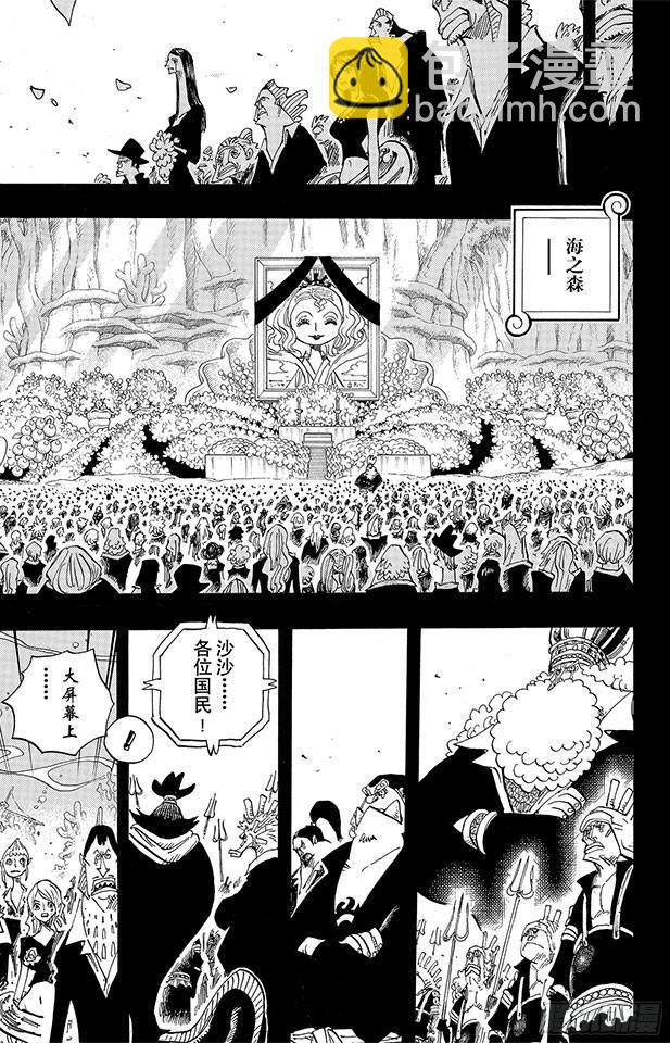 🍹航海王 第627话 不胜感激 第16页