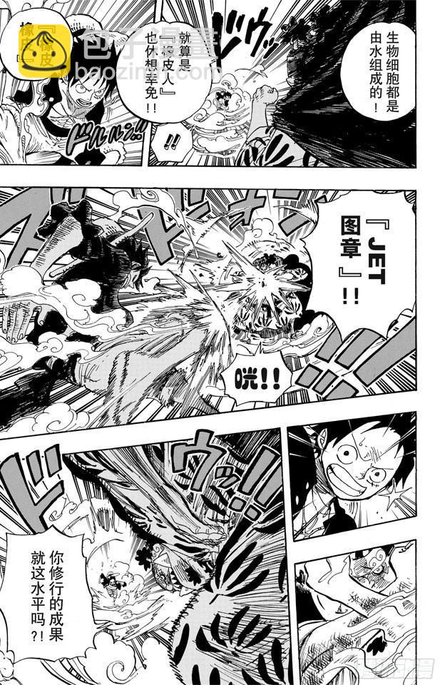 🍹航海王 第629话 阻挡在面前的原七武海 第5页