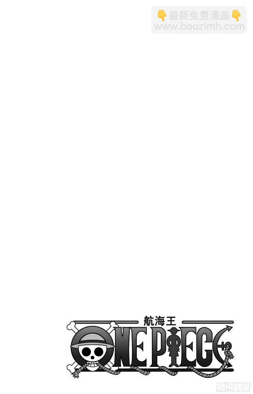 🍹航海王 第745话 “鸟笼” 第3页