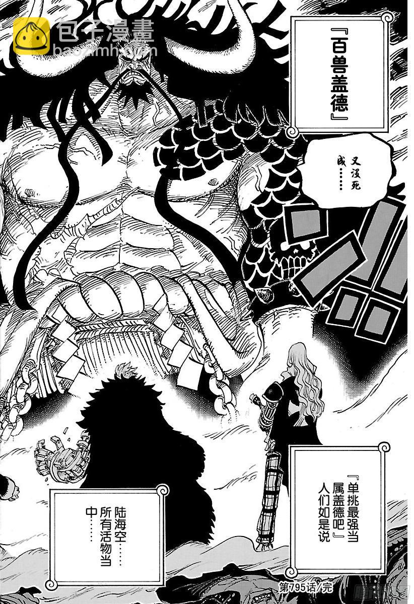 🍹航海王 第795话 自杀 第16页