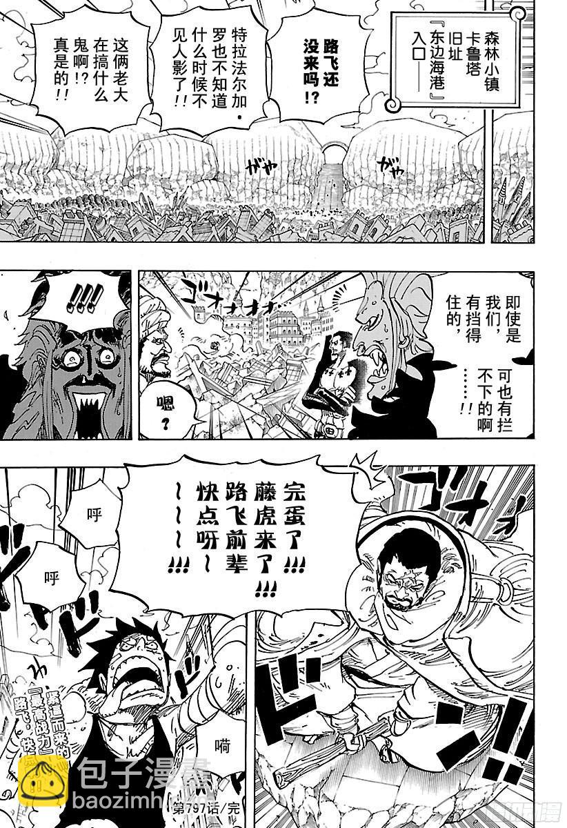 🍹航海王 第797话 莉贝卡 第17页