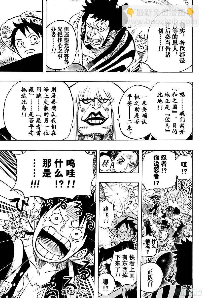 🍹航海王 第803话 登象 第13页