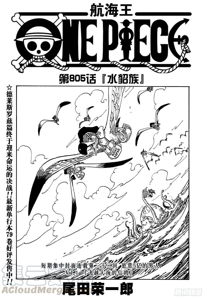 🍹航海王 第805话 水貂族 第1页