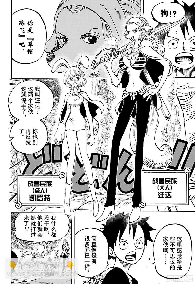 🍹航海王 第805话 水貂族 第12页