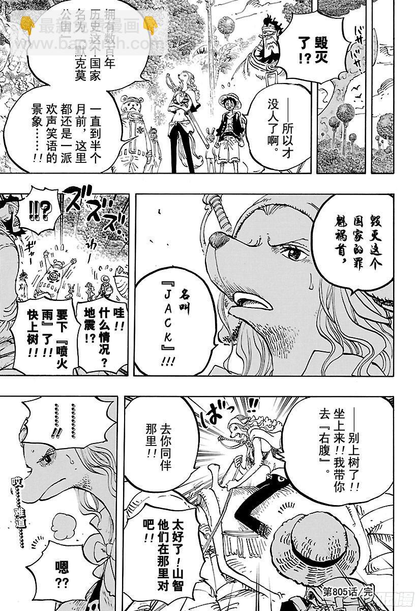 🍹航海王 第805话 水貂族 第17页