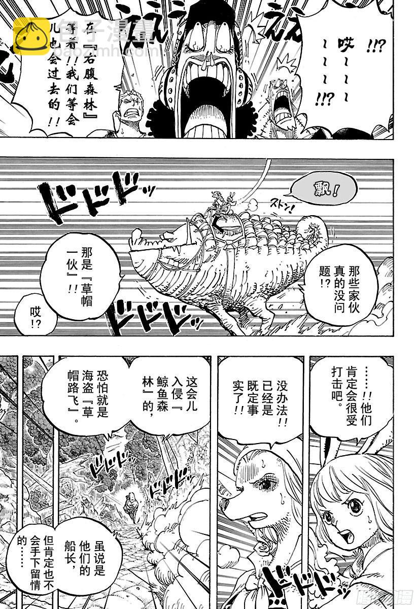 🍹航海王 第805话 水貂族 第5页