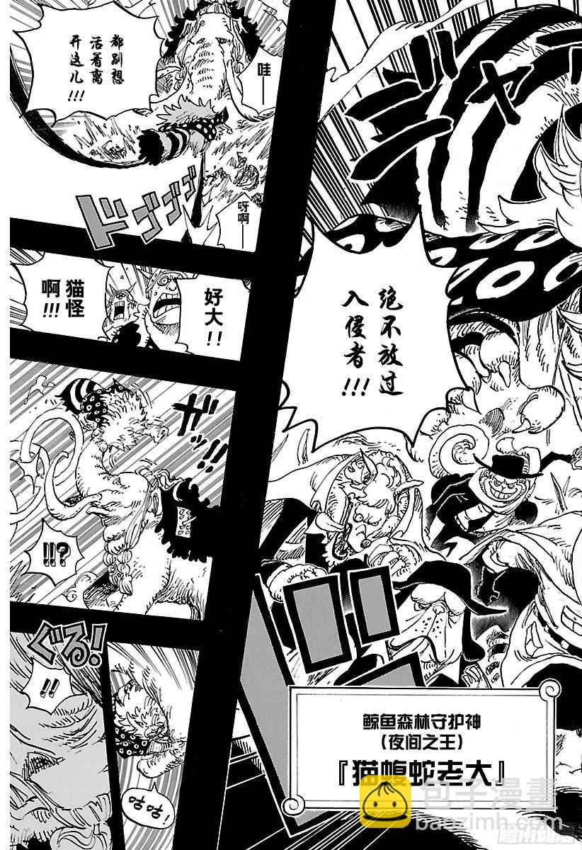🍹航海王 第809话 猫蝮蛇老大 第17页