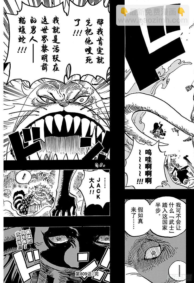 🍹航海王 第809话 猫蝮蛇老大 第19页