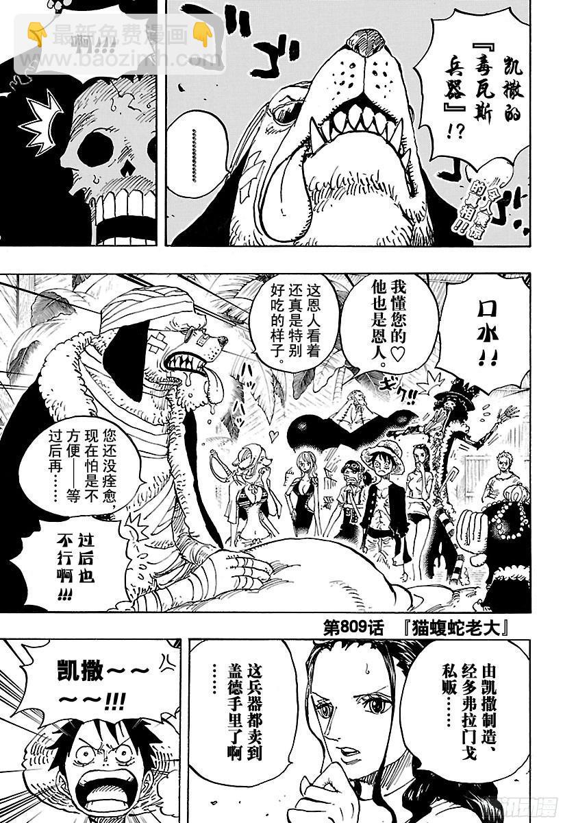 🍹航海王 第809话 猫蝮蛇老大 第3页