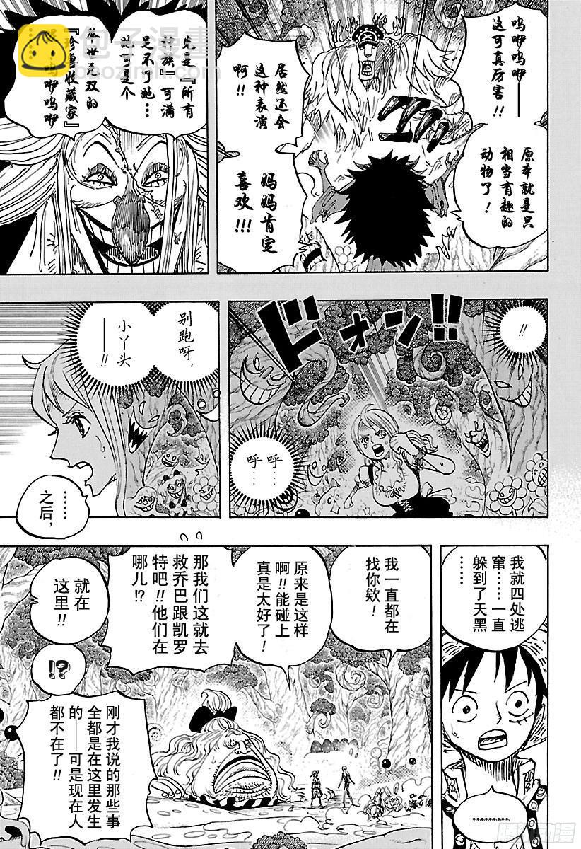 🍹航海王 第835话 灵魂之国 第13页