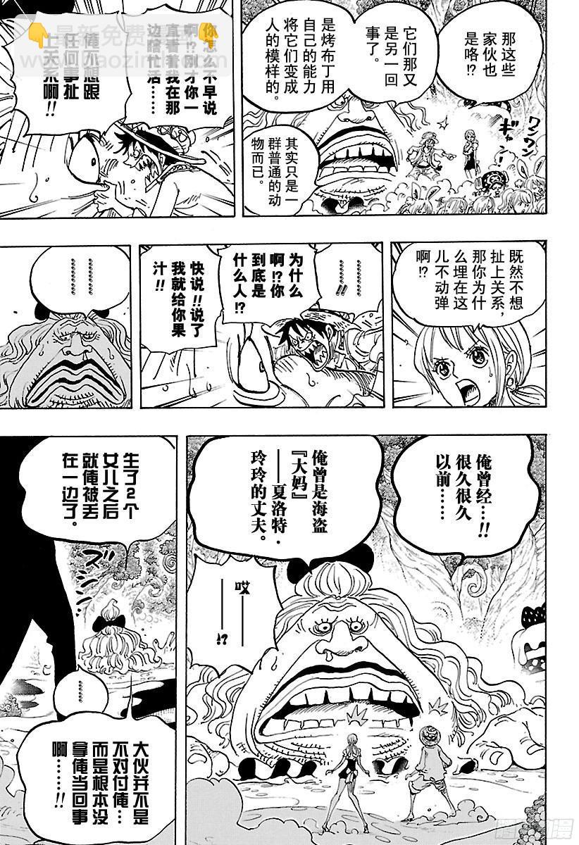 🍹航海王 第835话 灵魂之国 第17页