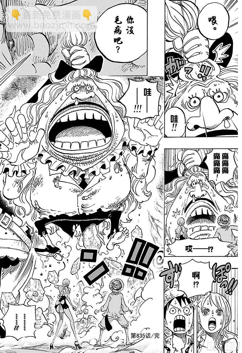 🍹航海王 第835话 灵魂之国 第18页
