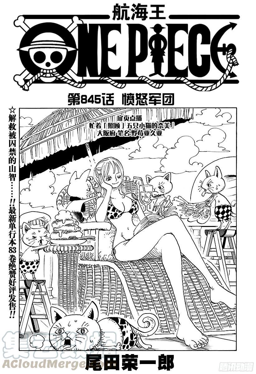 🍹航海王 第845话 愤怒军团 第1页