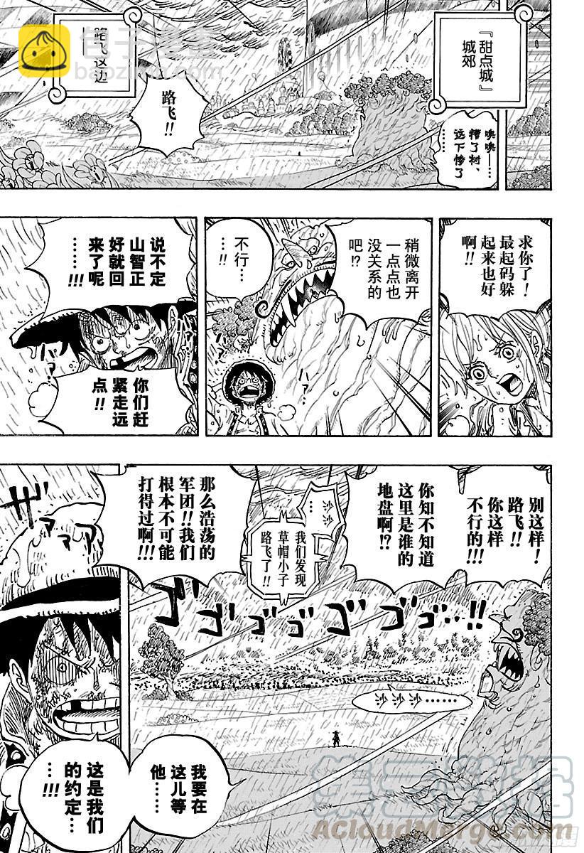 🍹航海王 第845话 愤怒军团 第11页