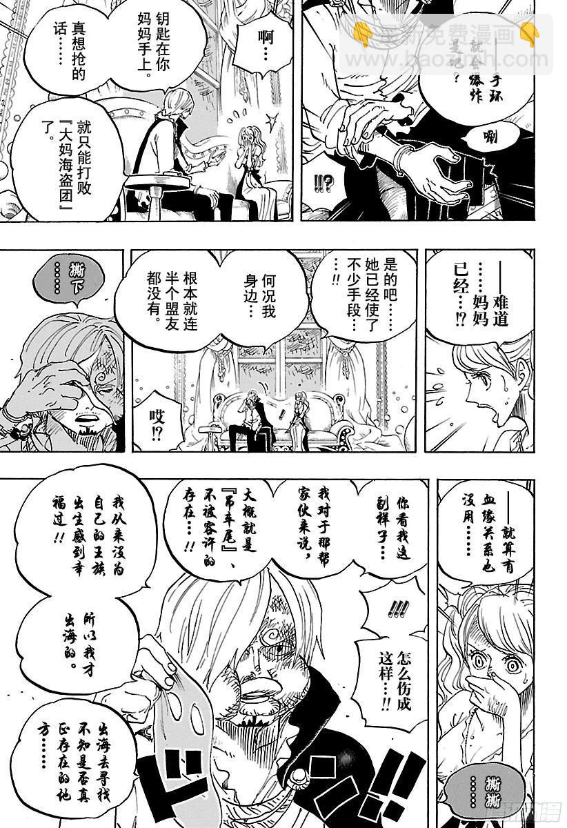 🍹航海王 第845话 愤怒军团 第13页