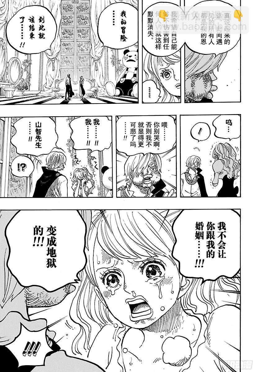 🍹航海王 第845话 愤怒军团 第15页