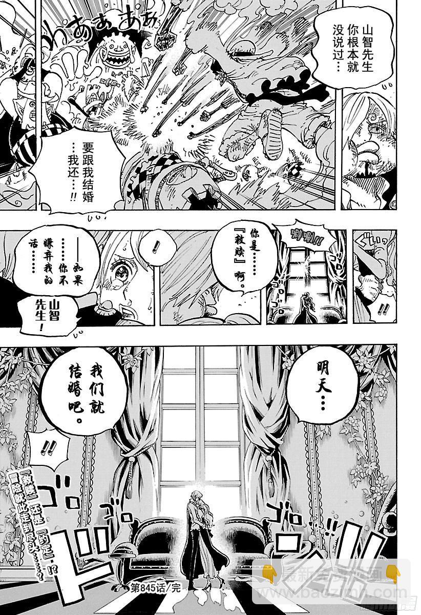 🍹航海王 第845话 愤怒军团 第17页
