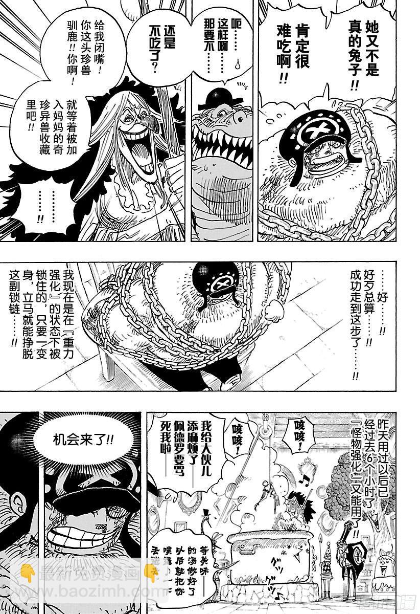 🍹航海王 第847话 路飞和大妈 第3页