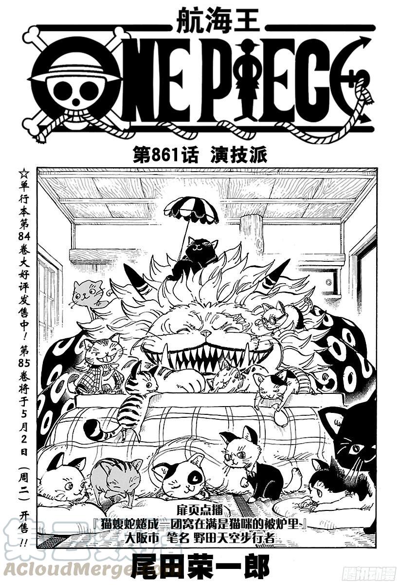 🍹航海王 第861话 演技派 第1页