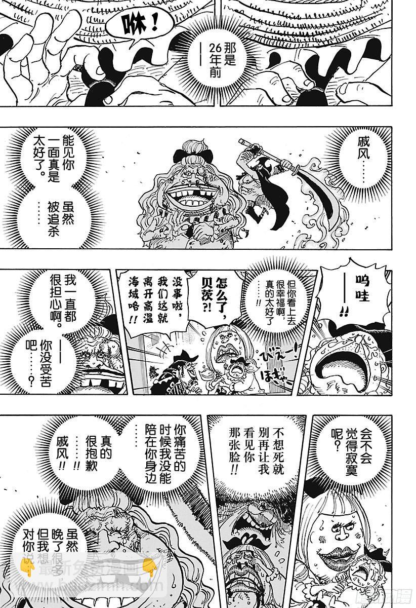 🍹航海王 第887话 在某地为你祈福 第15页