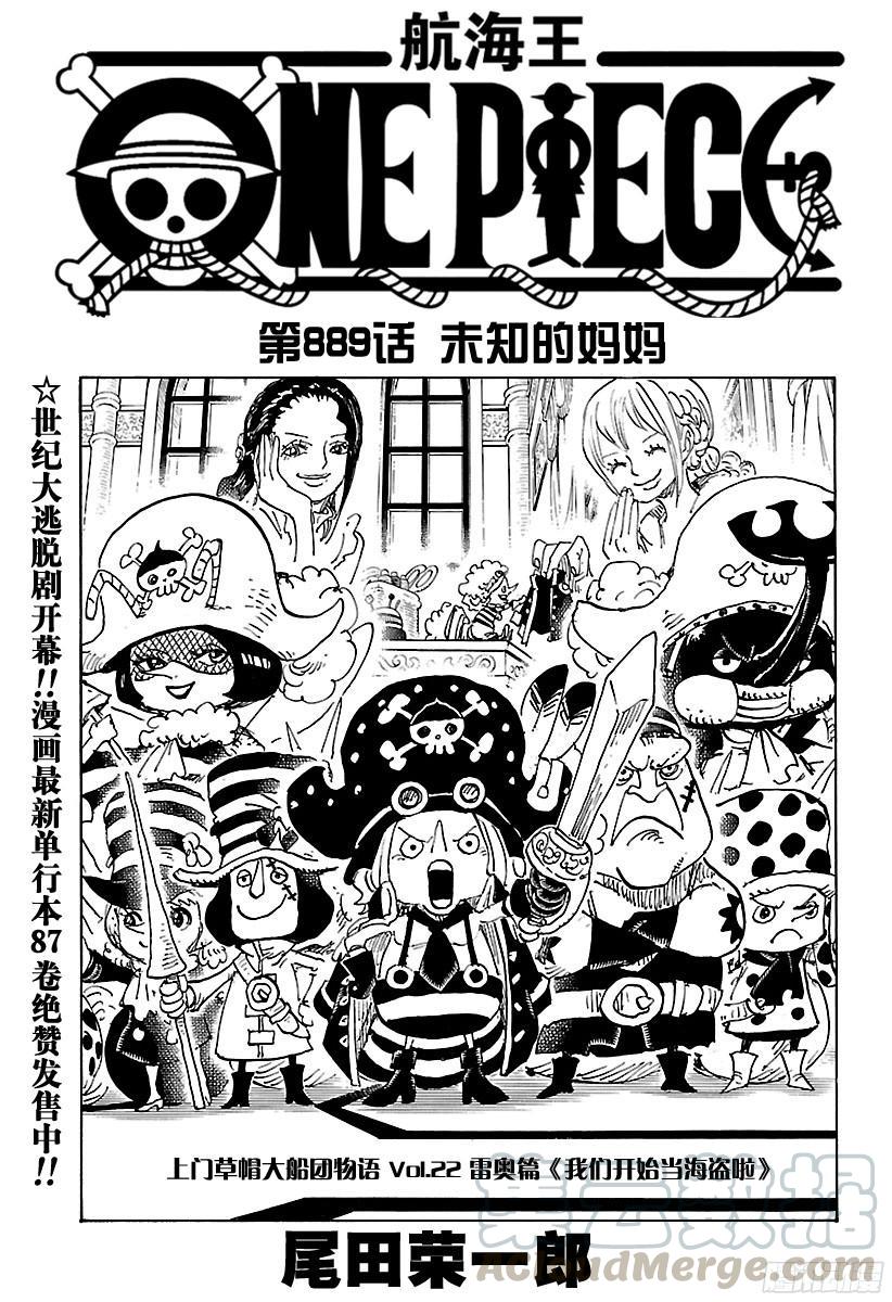 🍹航海王 第889话 未知的妈妈 第1页