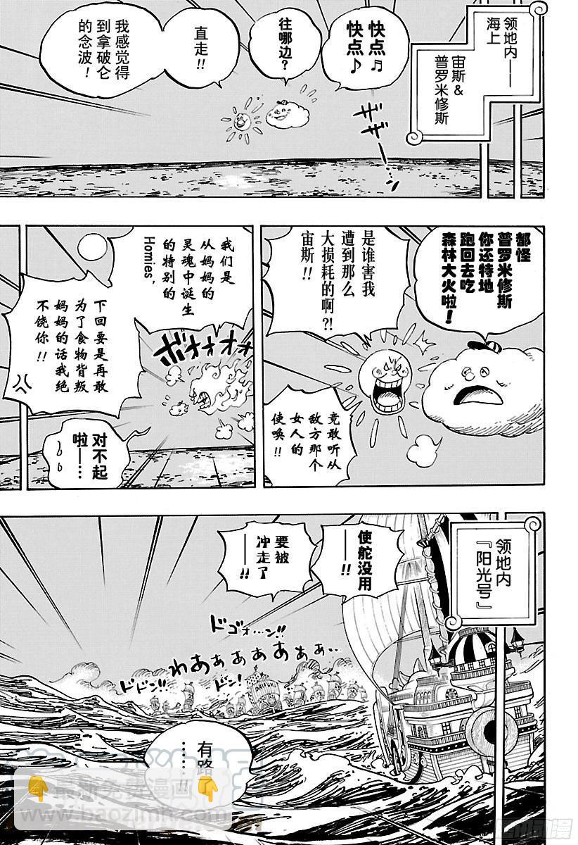 🍹航海王 第889话 未知的妈妈 第11页
