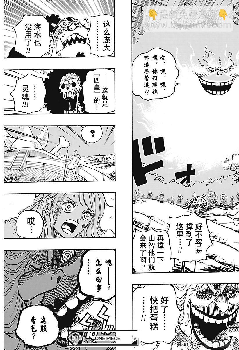 🍹航海王 第891话 被信赖着 第17页