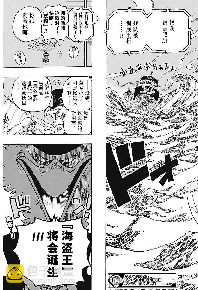 🍹航海王 第901话 拼死也要活下去啊！ 第17页