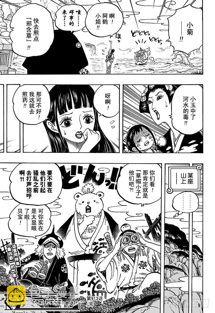 🍹航海王 第913话 鹤的报恩 第17页