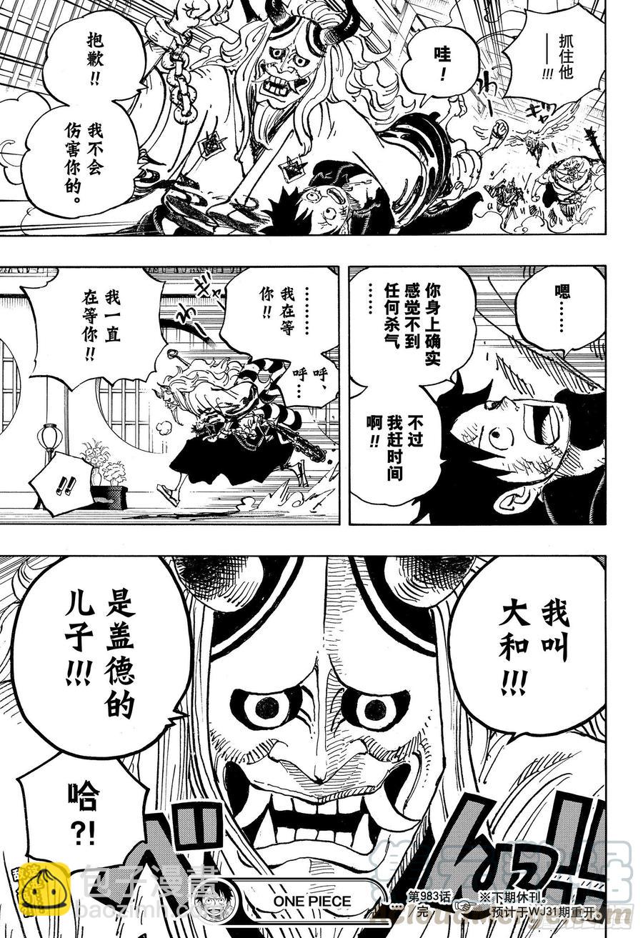 🍹航海王 第983话 雷鸣 第17页