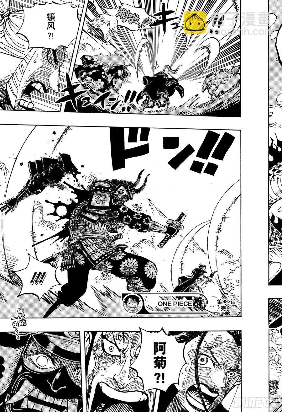 🍹航海王 第993话 和之国的梦想 第17页