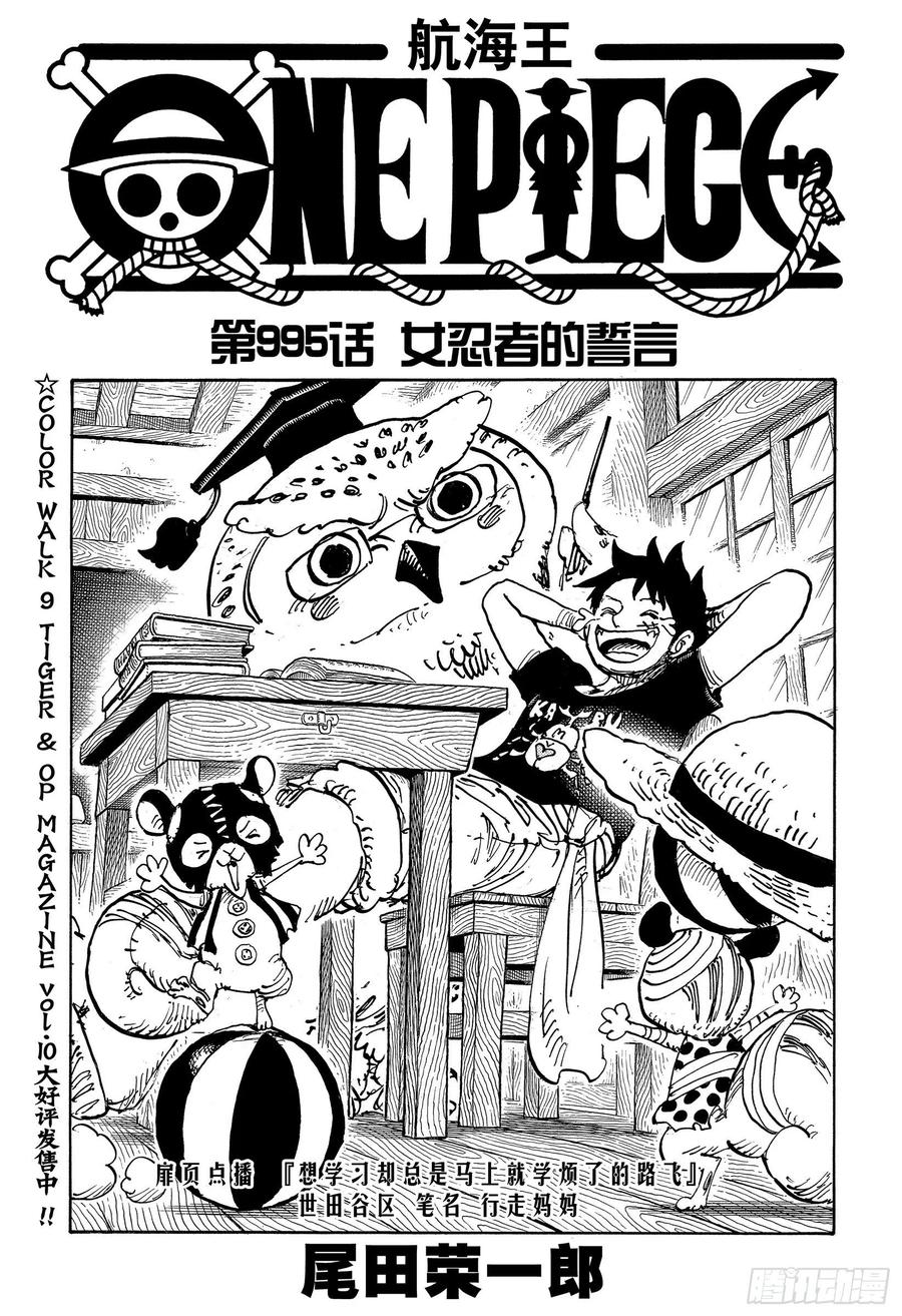🍹航海王 第995话 女忍者的誓言 第1页